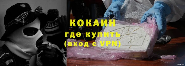 стаф Алзамай