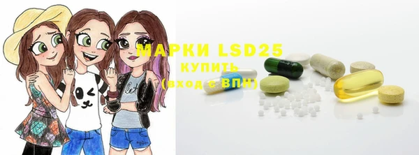 стаф Алзамай