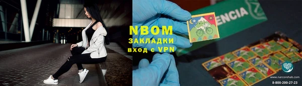 стаф Алзамай