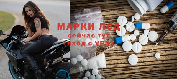 стаф Алзамай