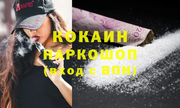 стаф Алзамай