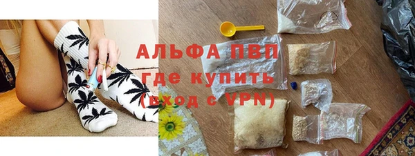 стаф Алексин