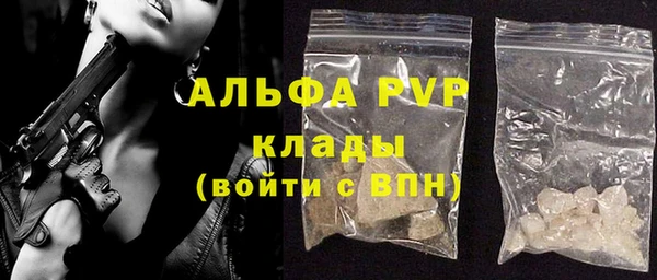 стаф Алексин