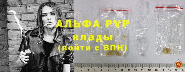 стаф Алексин