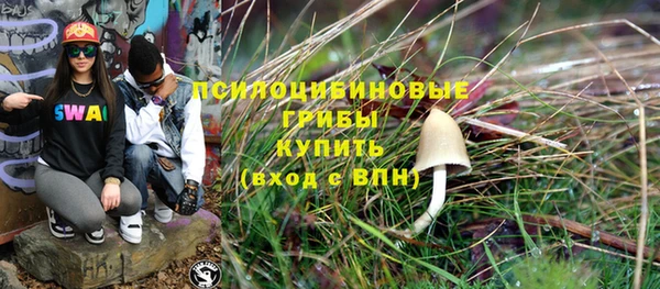 стаф Алзамай