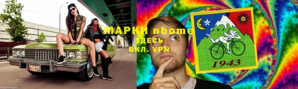 стаф Алексин