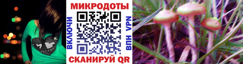 закладка  Камышин  omg tor  Галлюциногенные грибы ЛСД 