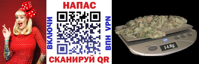 Марихуана сатива Камышин